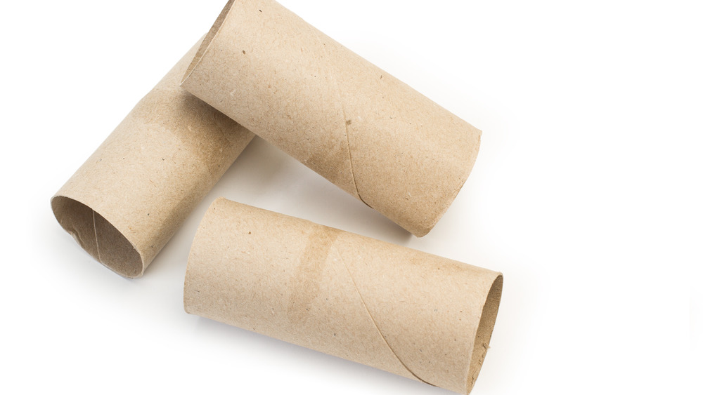 Empty toilet paper tubes