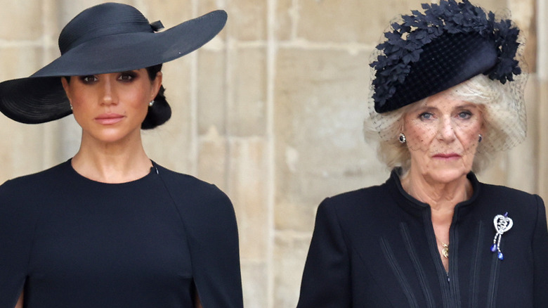 Meghan and Camilla