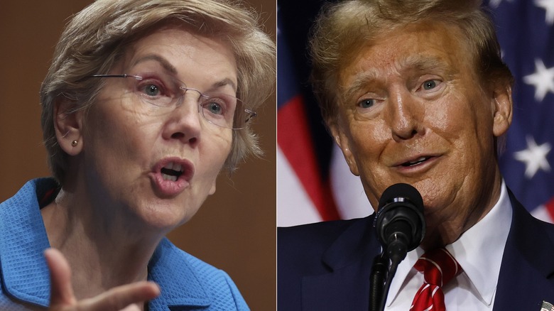 Left: Elizabeth Warren / Right: Donald Trump