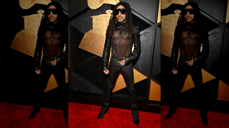 Lenny Kravitz on the red carpet