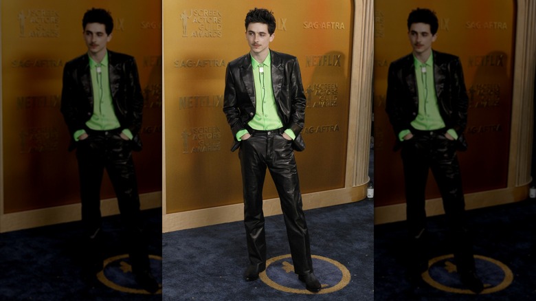 Timothée Chalamet posing