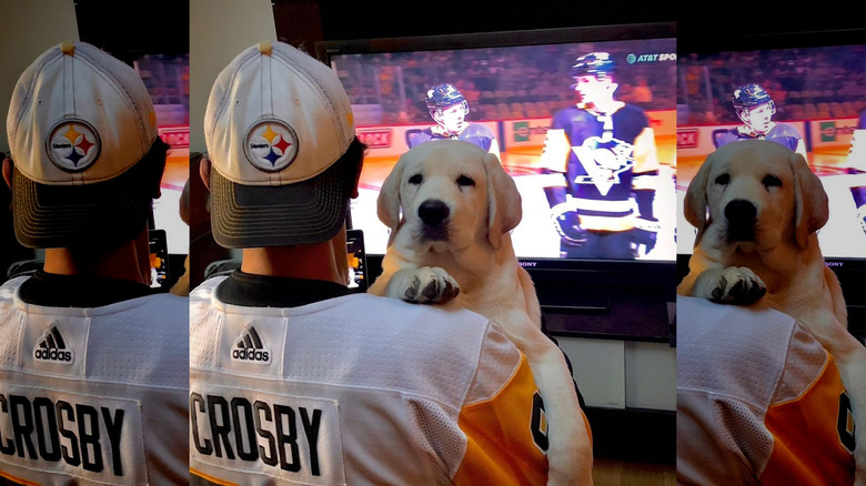 The Young and the Restless' Abhi Sinha holding his beloved dog