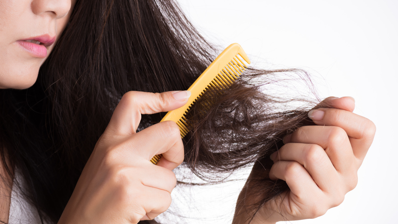 Details more than 74 types of hair damage best - in.eteachers