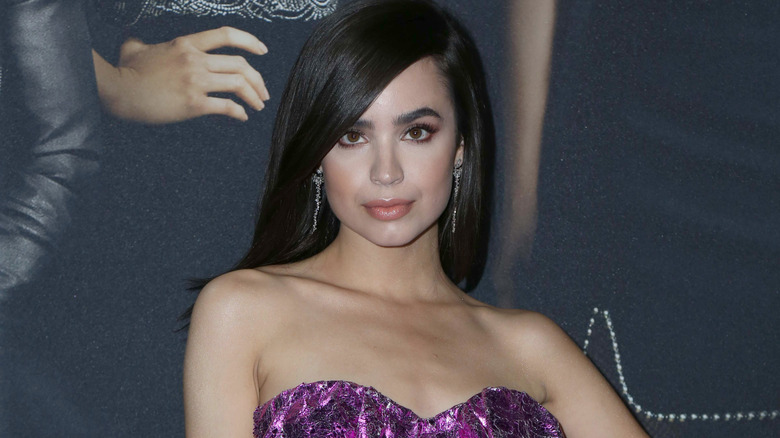 Sofia Carson posing