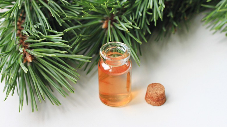 Bottle of balsam fir oil