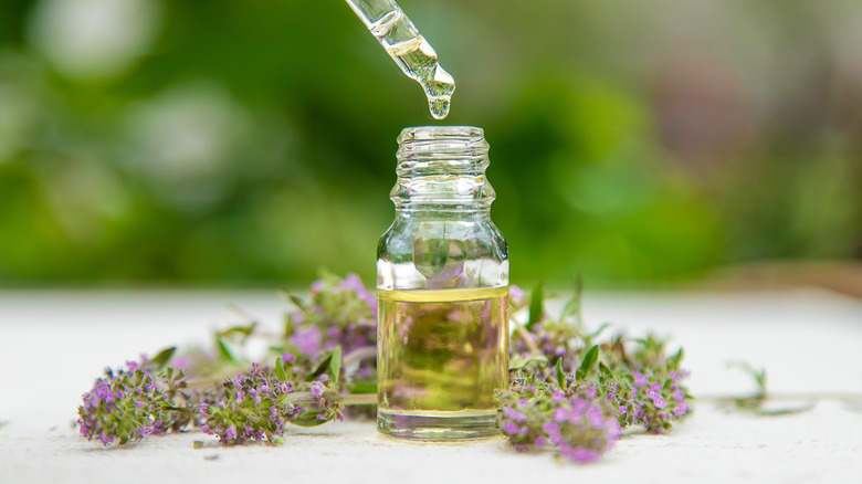 Bottle of thyme oil, herbs