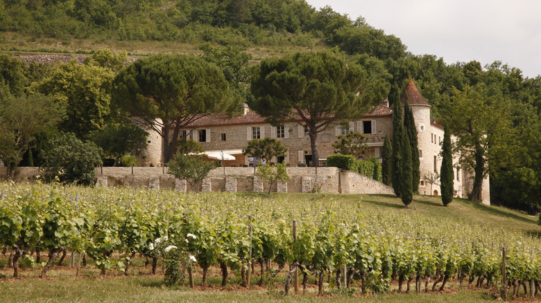 Château de Cayx in France