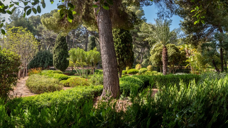 Marivent Palace gardens in Mallorca