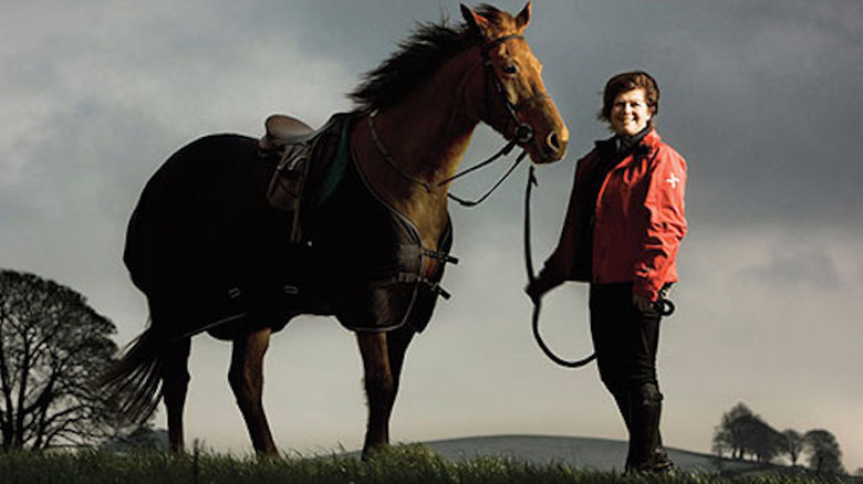 Kerry Gold horse