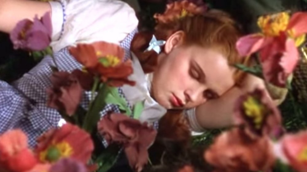 The Wizard of Oz character Dorothy sleeping in a poppy field