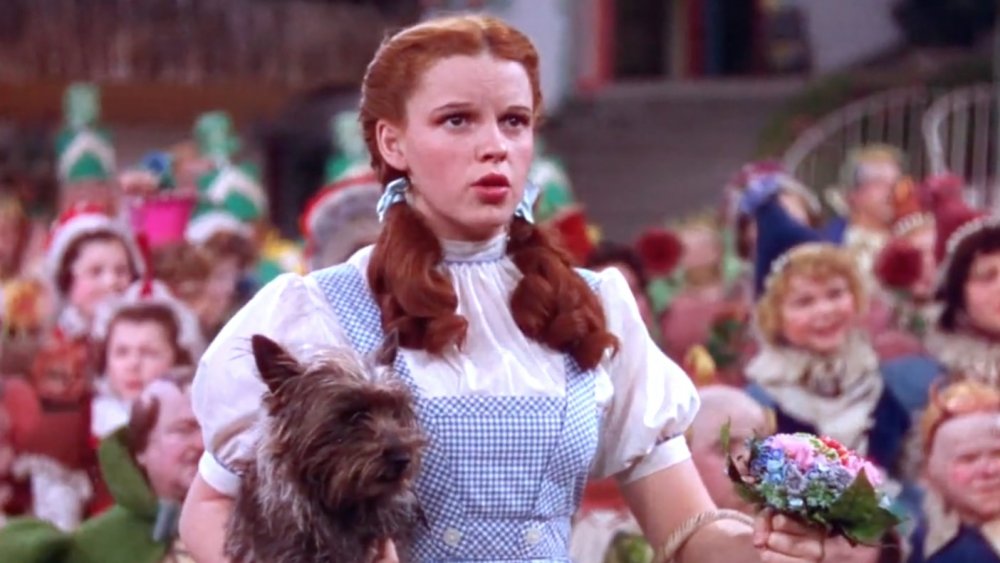 The Wizard of Oz character Dorothy