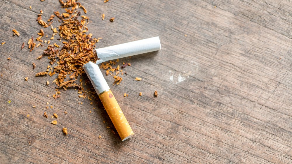 A cigarette split in half with tobacco falling out