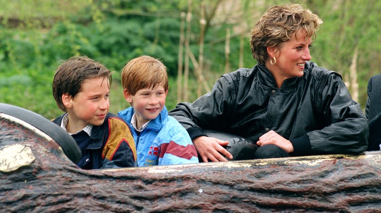 Princess Diana at Thorpe Park with William and Harry