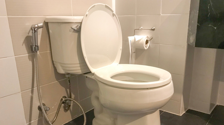 toilet area of hotel room, something you should absolutely avoid touching