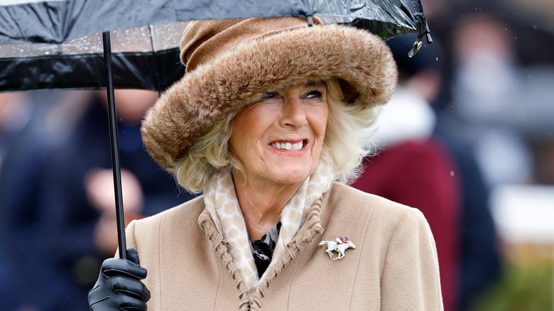 Camilla, Queen Consort smiling under umbrella