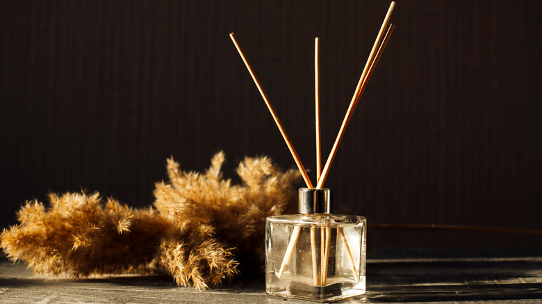 Reed stalks alongside scented reed diffuser