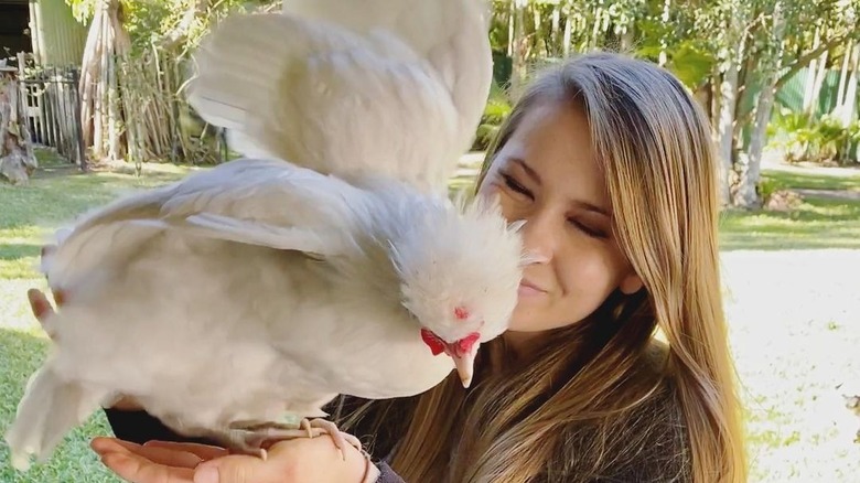 Bindi Irwin with chicken