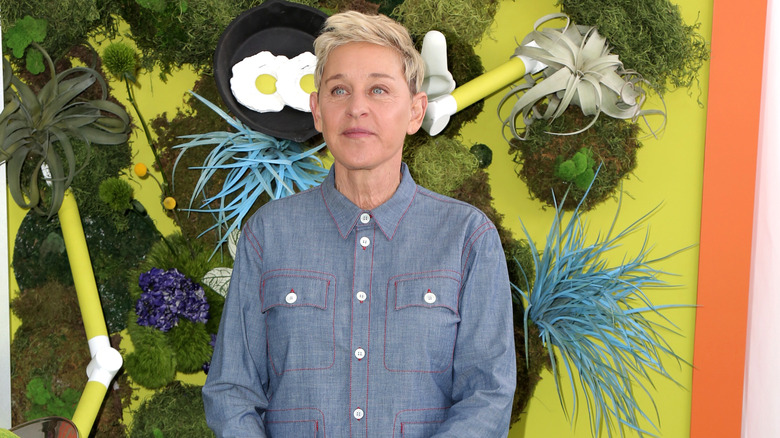 Ellen DeGeneres in front of artwork