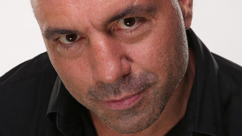 Joe Rogan up close