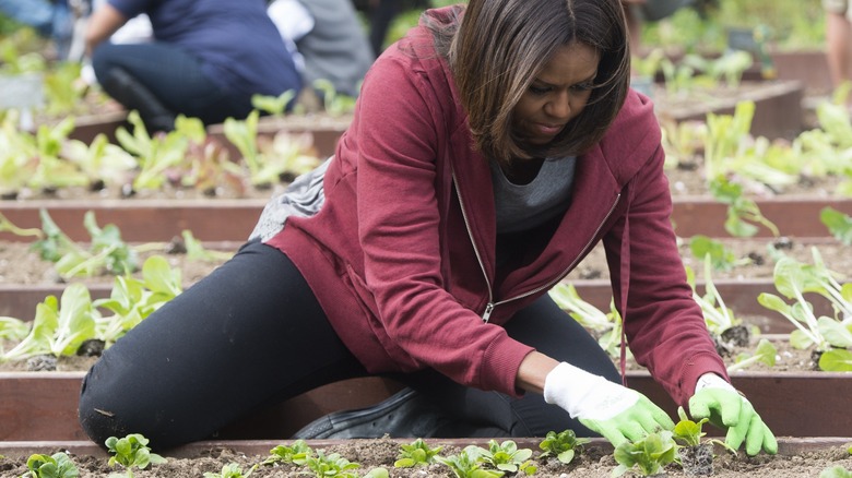 Michelle Obama White House garden