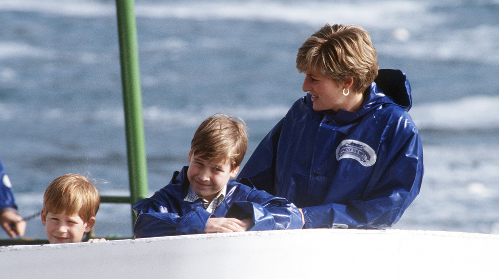 Princess Diana with Prince William and Prince Harry