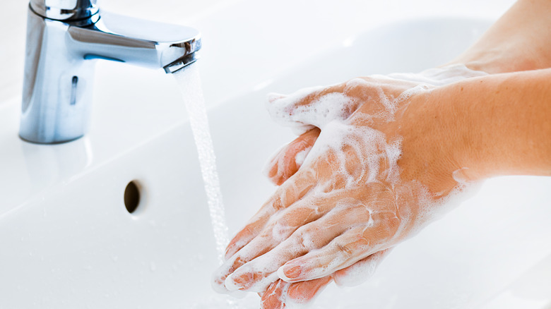 woman hands soap