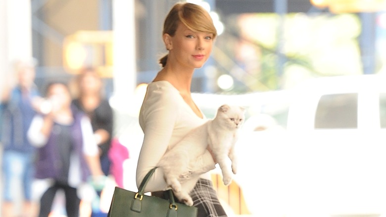 Taylor Swift smiling with Olivia Benson in her arms