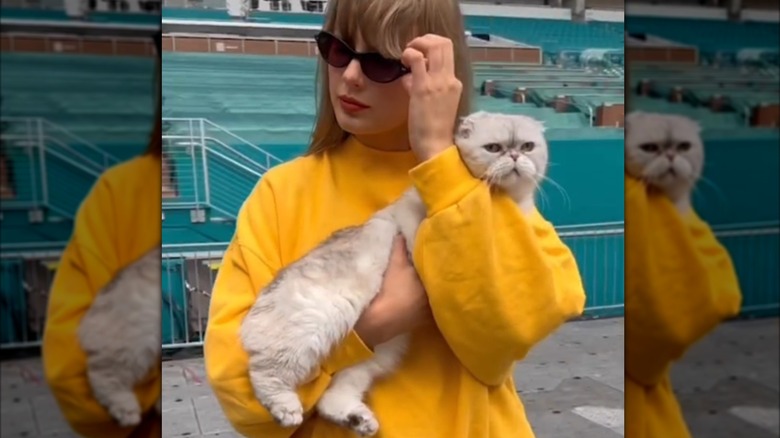 Taylor Swift holding her cat Olivia Benson