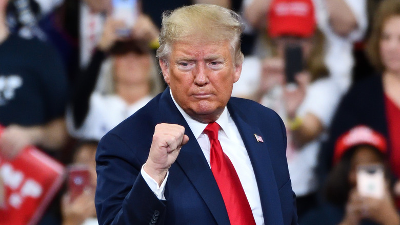 Donald Trump holding up fist at rally