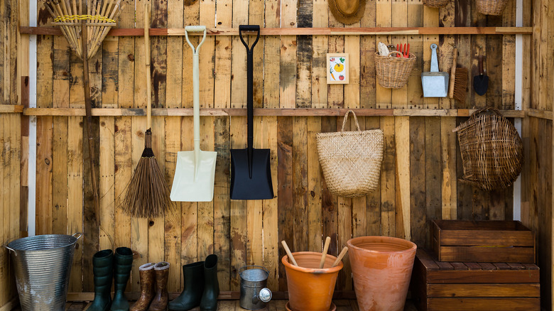 Garden tools in shed