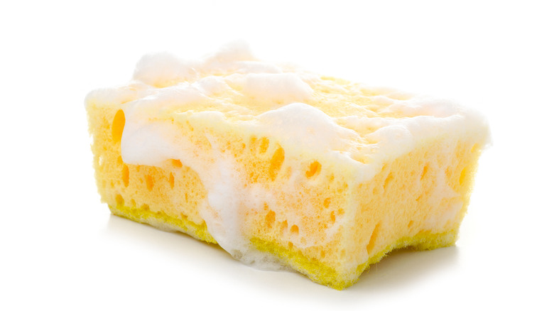 Dish sponge with suds