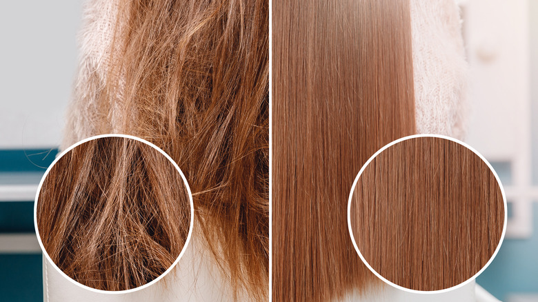 A before and after shot of dry, damaged hair and repaired hair