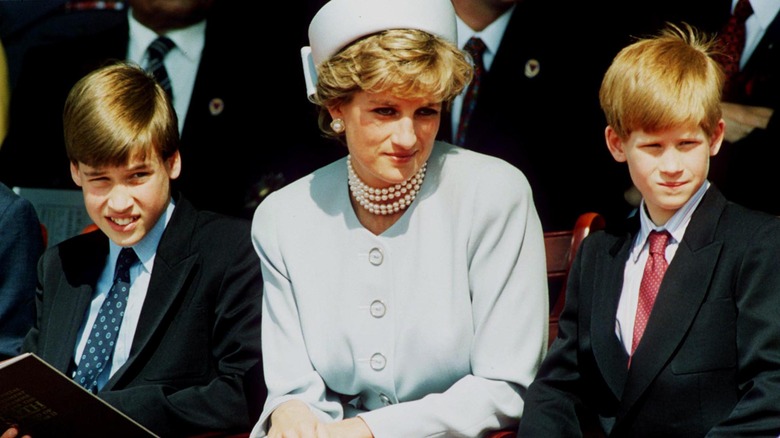 Diana sitting with William and Harry 