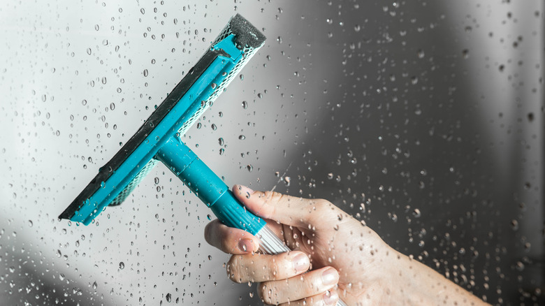 Squeegee on shower door