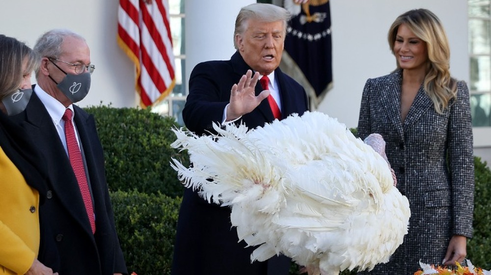 Donald and Melania Trump at the White House turkey pardon