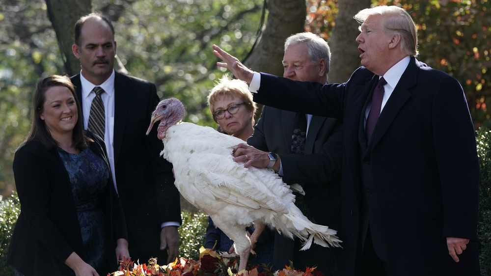 White House turkey pardon