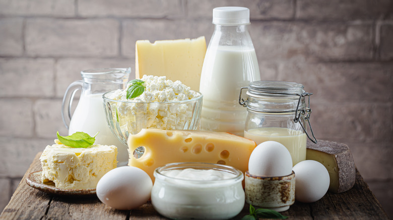 different kinds of dairy