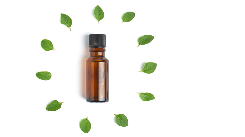 oregano oil bottle