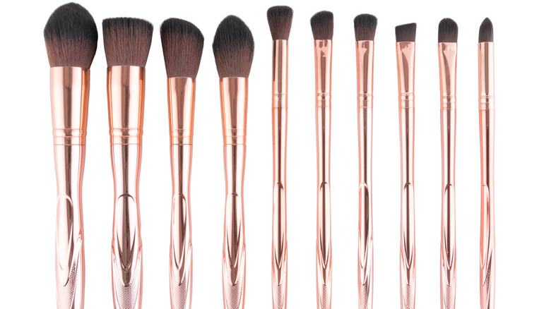 Assorted makeup brushes against a white background