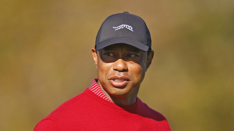 Tiger Woods looking into the distance at a golf tournament