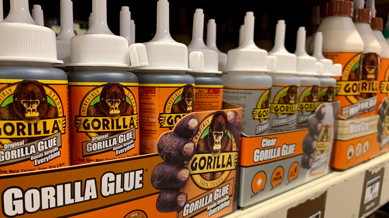 line Gorilla Glue bottles on shelf