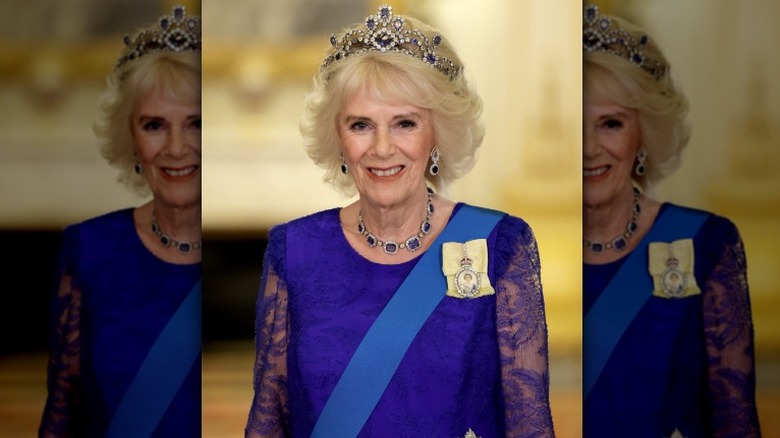 Queen Camilla wearing blue dress and jewels