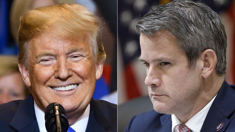 Donald Trump smiling and Adam Kinzinger staring