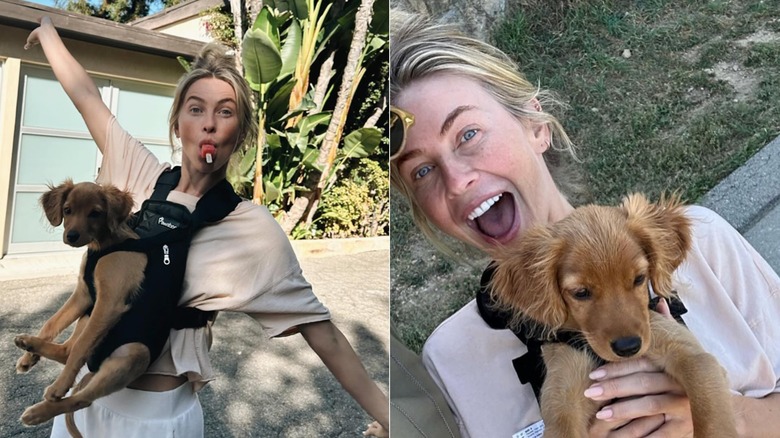 Julianne Hough with Sunny the dog in baby carrier