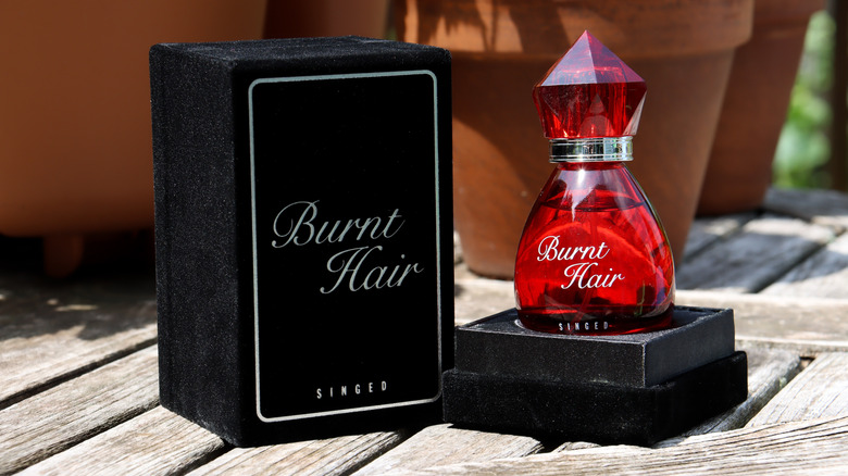 A bottle of Elon Musk's 'Burnt Hair' unisex scent