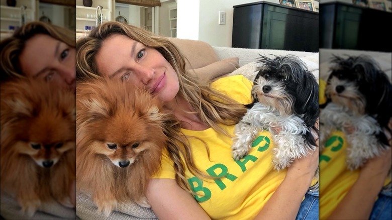 Gisele Bündchen cuddling her dogs