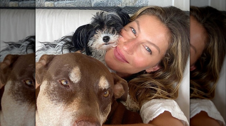 Gisele Bündchen cuddling her dogs