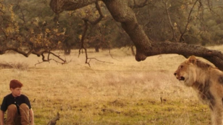 Prince Harry and the lion in Harry & Meghan: A Royal Romance