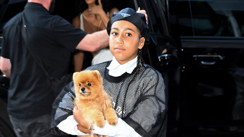 North West holding a dog