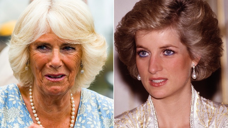 Camilla Parker Bowles and Princess Diana posing for the camera